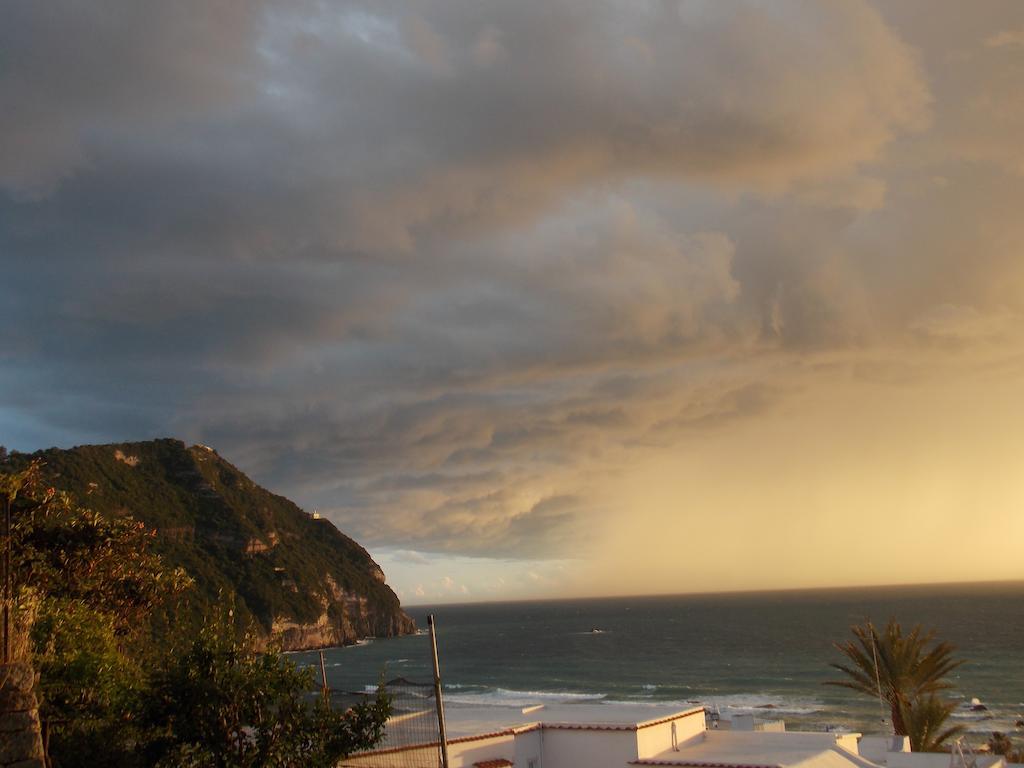 Villa Loreta Forio (Isola d'Ischia) Exterior foto