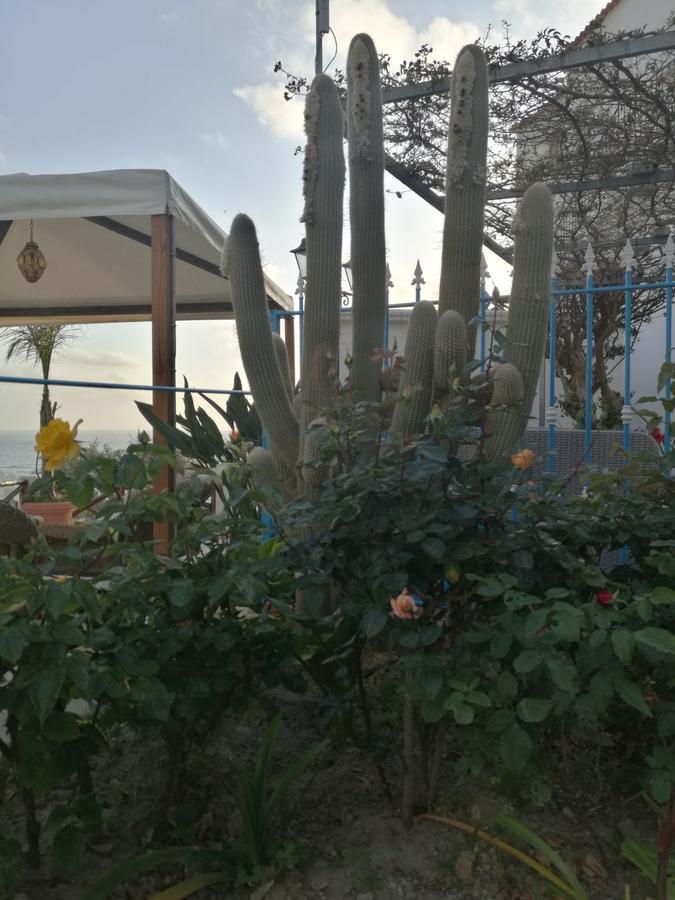 Villa Loreta Forio (Isola d'Ischia) Exterior foto