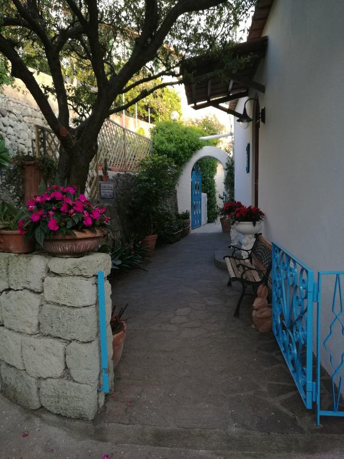 Villa Loreta Forio (Isola d'Ischia) Exterior foto