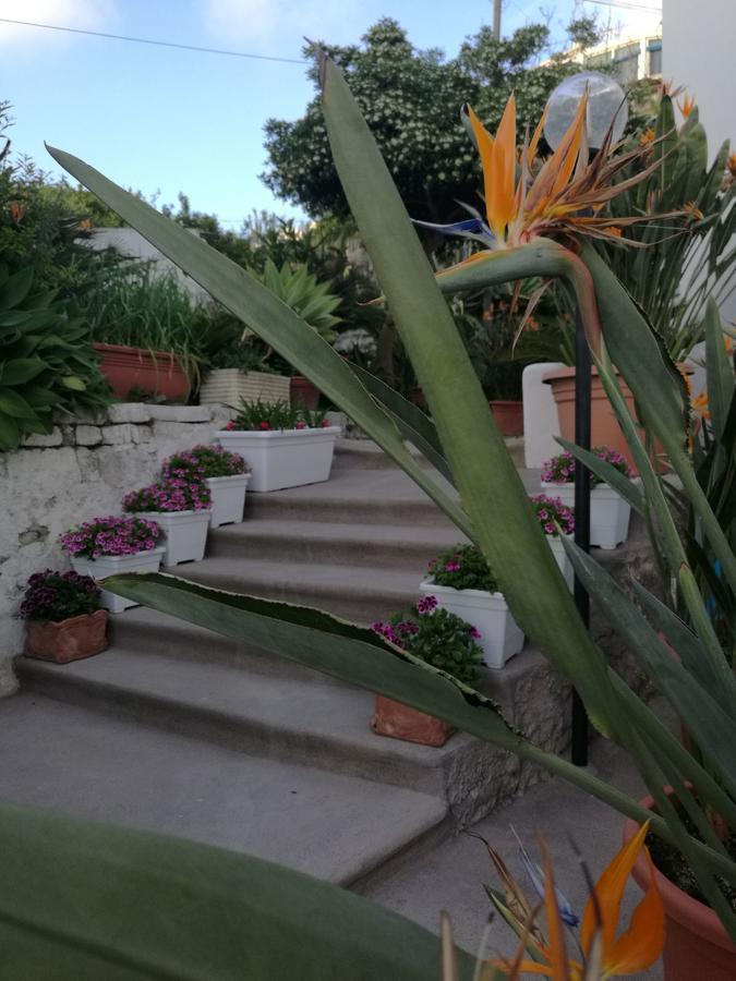Villa Loreta Forio (Isola d'Ischia) Exterior foto