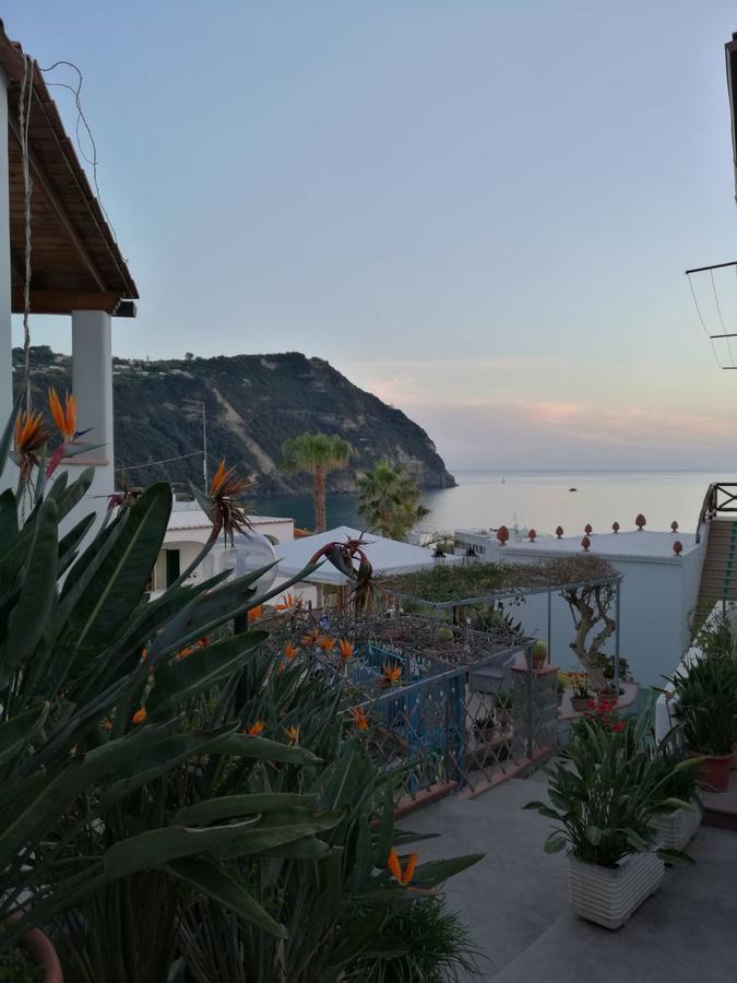 Villa Loreta Forio (Isola d'Ischia) Exterior foto