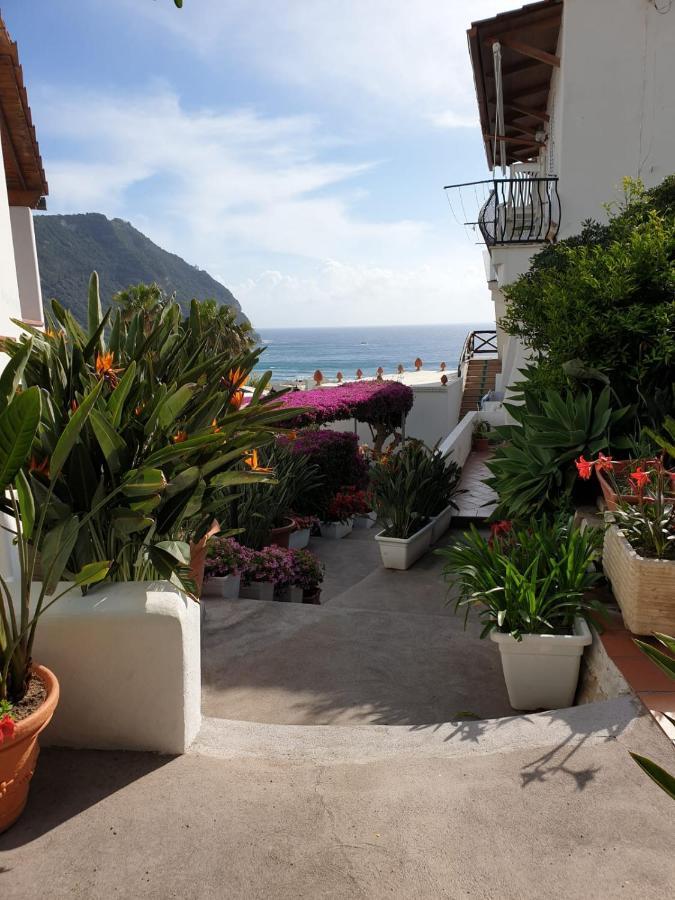 Villa Loreta Forio (Isola d'Ischia) Exterior foto