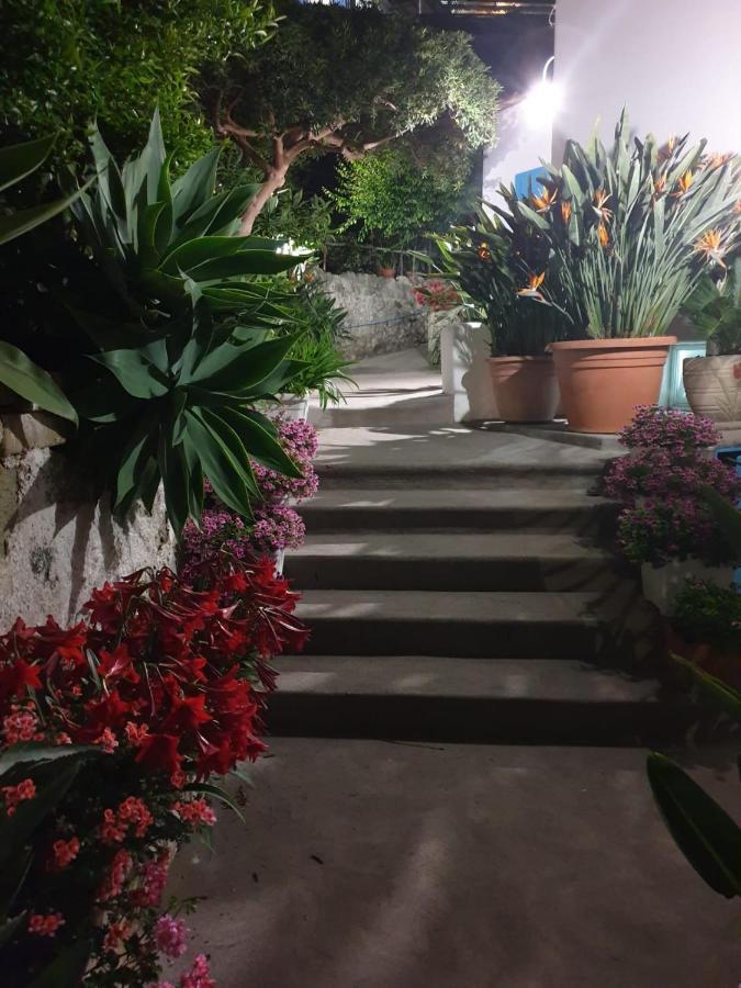 Villa Loreta Forio (Isola d'Ischia) Exterior foto